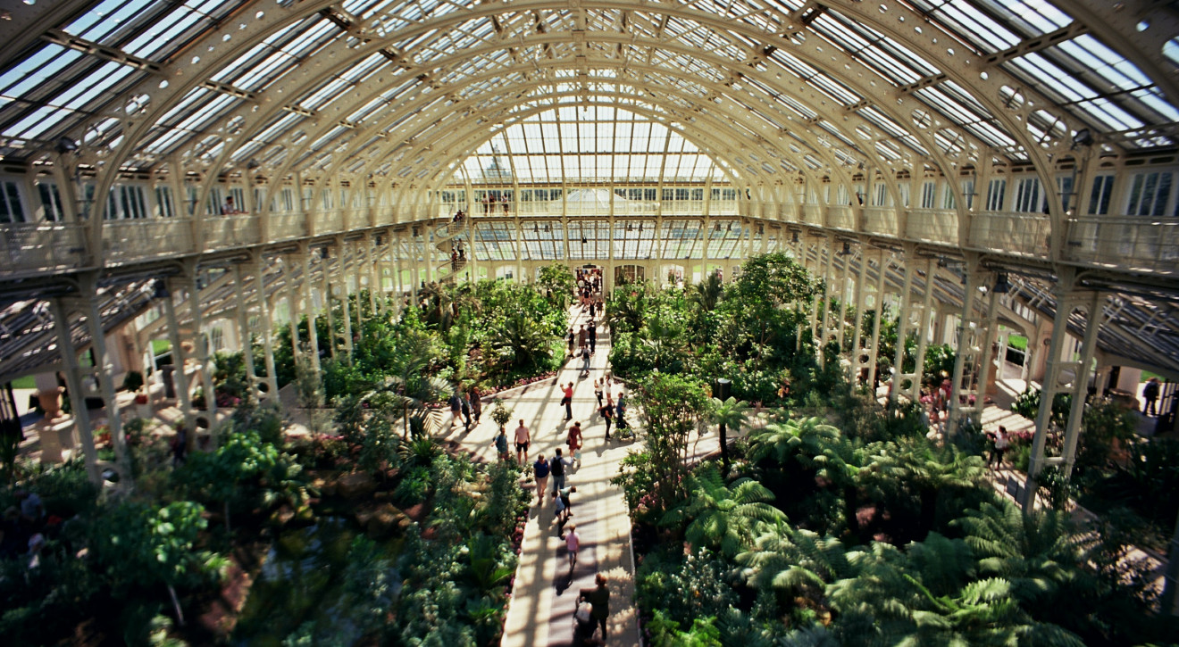 Kew Gardens w Księdze Rekordów Guinessa. "To klejnot botanicznego świata"