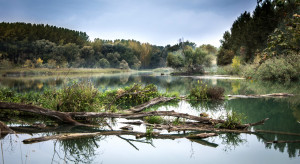 Rzeka Dunaj/fot. LubosHouska, Pixabay