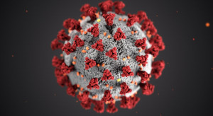 Wirus Covid-19/fot. CDC via Unsplash