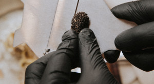 Czarne trufle działają jak marihuana? Naukowcy odkryli w nich uzależniające "cząsteczki szczęścia"