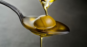Oliwa z oliwek wydłuża życie / Shutterstock