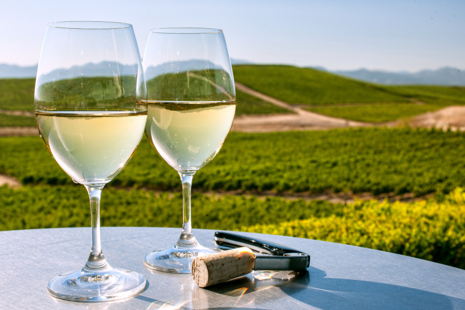 Część kalifornijskich winnic może zostać zamknięta/fot. Shutterstock