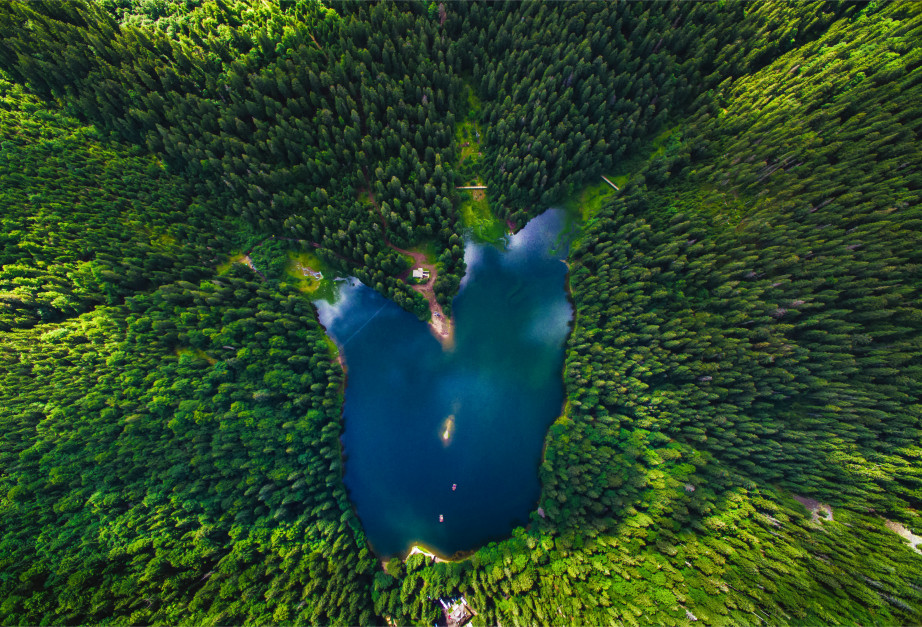 Jezioro Synewyr na terenie Karpat na Ukrainie / Shutterstock