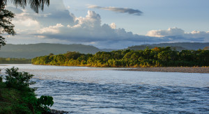 Czy Puszcza Amazońska zniknie? Zdaniem badaczy nie wszystko stracone