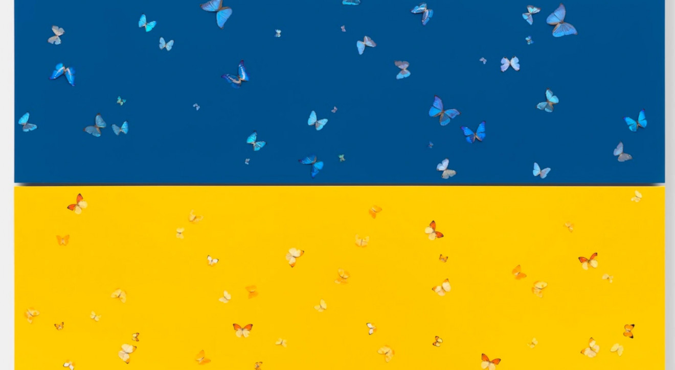 "Piazza Ucraina" na Biennale w Wenecji. To nowy pomysł na wsparcie Ukrainy / Damien Hirst, Sky Over Corn Field, 2022 - archiwum prywatne "Piazza Ucraina" na Biennale w Wenecji. To nowy pomysł na wsparcie Ukrainy