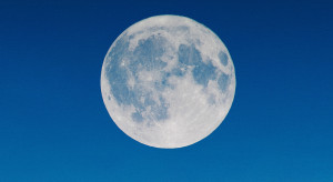 Księżycowy pył Neila Armstronga sprzedany na aukcji. Malutka próbka kosztowała majątek