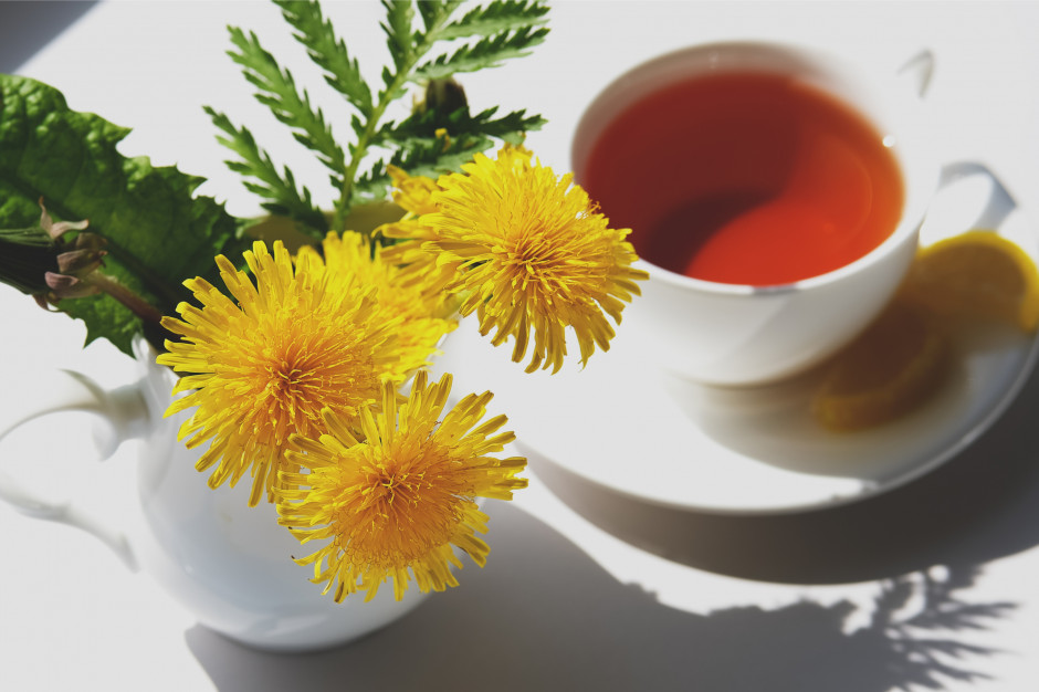 Herbata z mniszka lekarskiego nie tylko na trawienie / Shutterstock