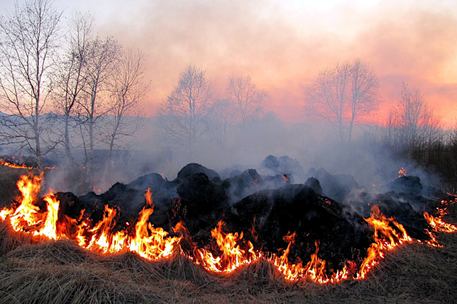 Straty środowiskowe spowodowane działaniami wojennymi/ Państwowy Inspektorat Ekologiczny Ukrainy - Facebook