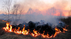 Straty środowiskowe spowodowane działaniami wojennymi/ Państwowy Inspektorat Ekologiczny Ukrainy - Facebook