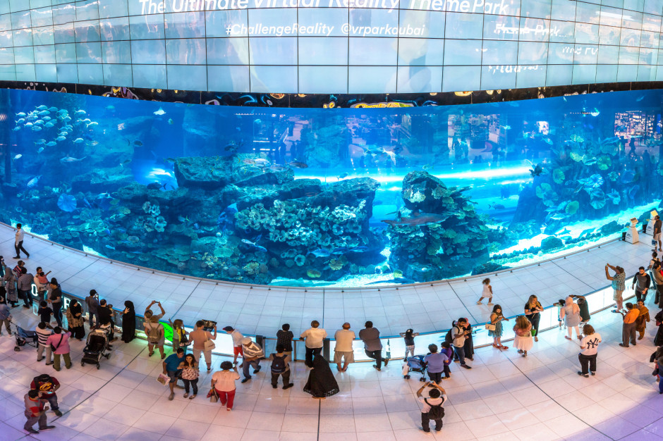 Akwarium w Dubaj Mall/fot. Shutterstock
