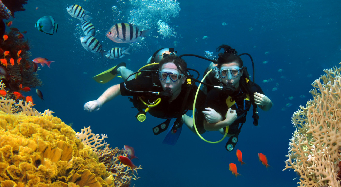 Pomysł na wakacje? Scuba diving to totalny hit dla urlopowiczów, którzy kochają wodę!