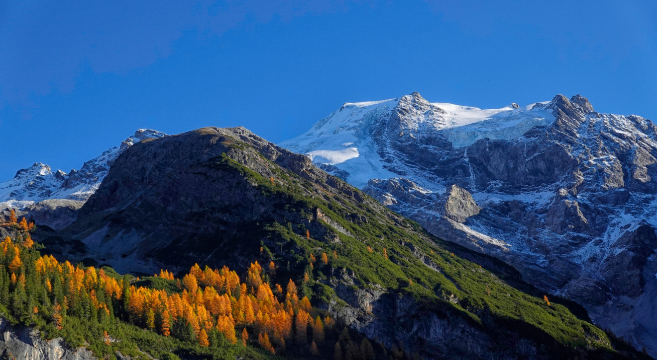 Globalne ocieplenie. Śnieg na szczytach Alp topnieje coraz bardziej/fot. Shutterstock Globalne ocieplenie. Śnieg na szczytach Alp topnieje coraz bardziej. Zastępuje go zielona roślinność
