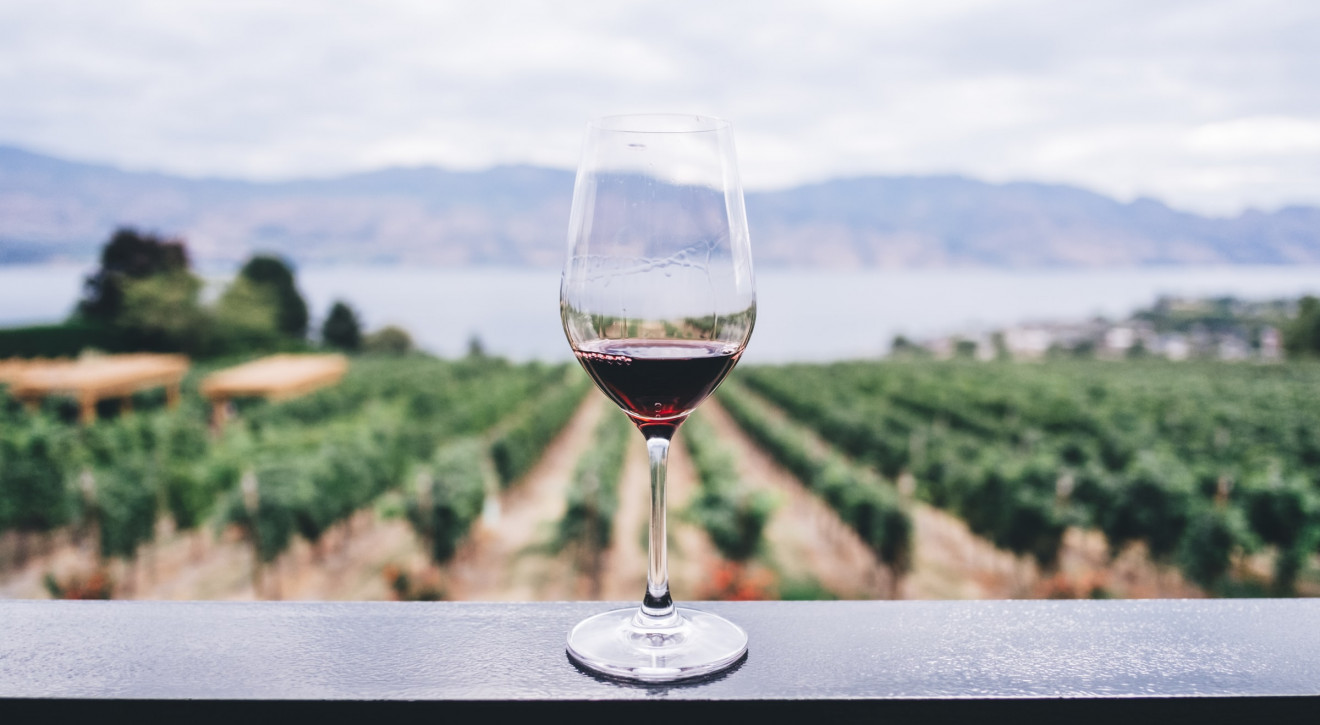 Wino europejskie bez granic. Producenci z Włoch i Francji łączą siły we wspólnym projekcie winiarskim
