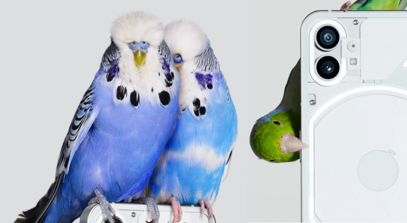 Nothing Phone (1) / materiały prasowe Nowy smartfon Nothing Phone (1) - wszystko, co warto wiedzieć o "najważniejszej premierze roku na rynku smartfonów”