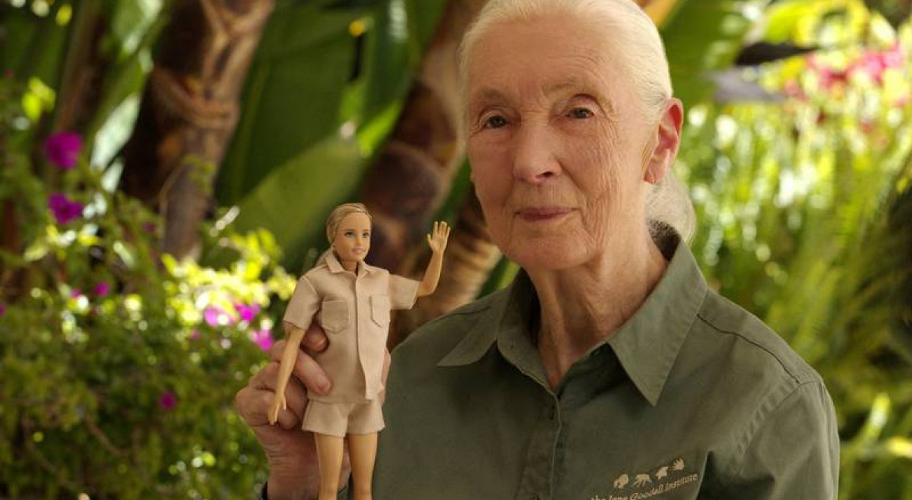 Lalka Barbie w hołdzie Jane Goodall. "Chcę, by dziewczynki po prostu miały wybór"