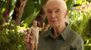 Powstała lalka Barbie na podobieństwo badaczki Jane Goodall. / Jane Goddall Institute
