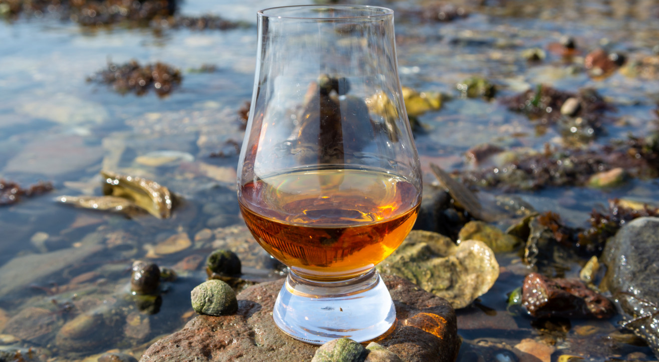 Czy szkocka whisky szkodzi środowisku? Władze chcą zbadać tzw. "DANINY DLA ANIOŁÓW"