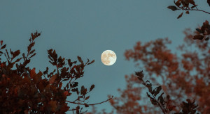 Pełnia Księżyca we wrześniu 2022: Księżyc Żniwiarzy, fot. Griffin Wooldridge, Unsplash