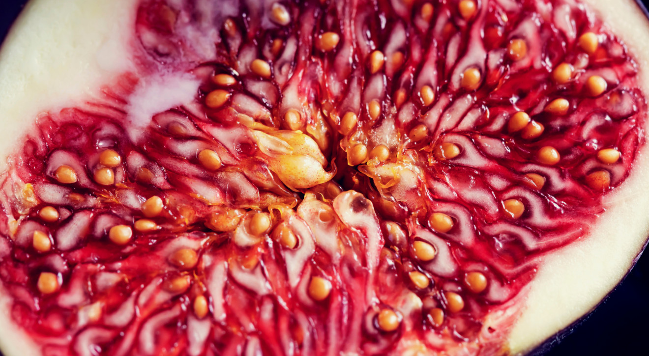 Co łączy figi, martwe osy i Ewę z raju? Oto, wszystko, co powinniście wiedzieć o najpyszniejszych owocach jesieni!