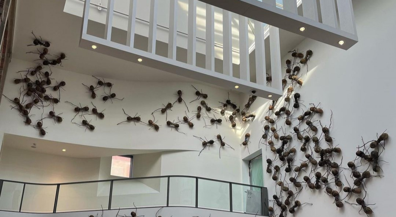 Amsterdam. Rijksmuseum zrezygnowało ze sprzątania. Nową wystawę stworzą... pajęczyny i owady!