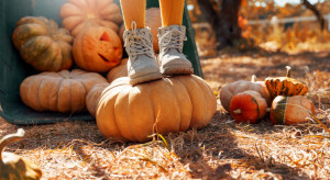 Najpiękniejsze farmy dyń w Polsce na jesienny weekend / Shutterstock