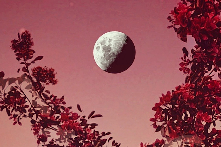 Pełnia Księżyca w październiku 2022. Krwawy Księżyc Myśliwych / Getty Images