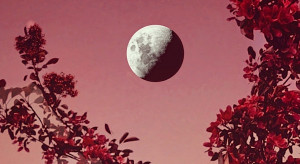 Pełnia Księżyca w październiku 2022. Horoskop na "Krwawy Księżyc Myśliwych"