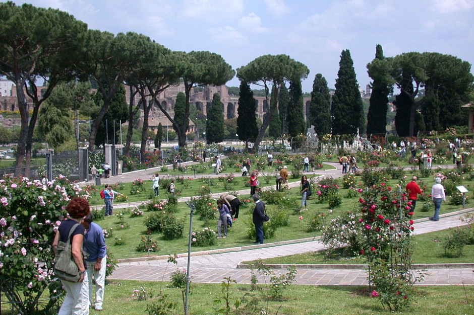Roseto Comunale, Rzym, fot. Wikimedia Commons