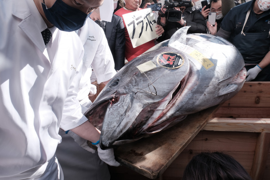 Tuńczyk błękitnopłetwy sprzedany za ponad milion złotych na targu rybnym w Tokio / Getty Images