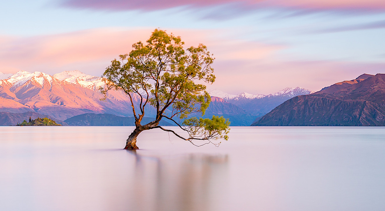 10 krajów najbogatszych w cuda natury / Drzewo Wanaka w Nowej Zelandii - Shutterstock WELL LIST: 10 krajów najbogatszych w cuda natury. Zapisz je na podróżniczej liście marzeń 2023