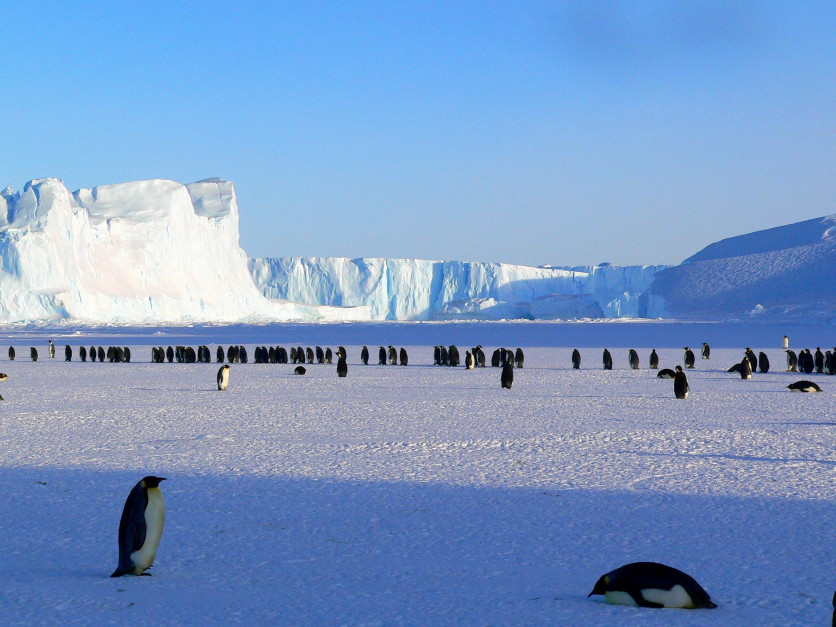 Antarktyda / Pixaba z Pexels