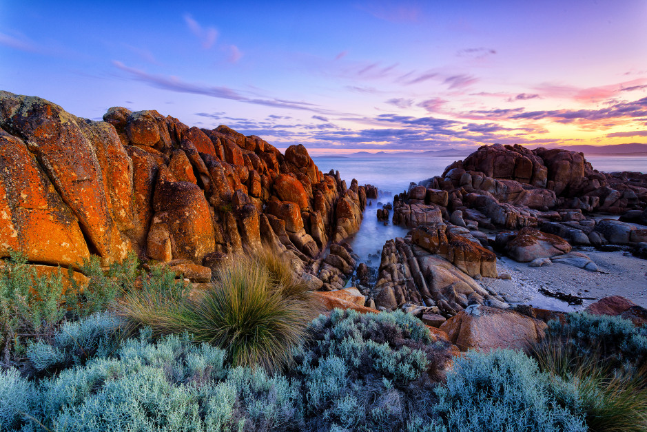 Tasmania / Shutterstock