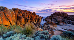 10 miejsc, które warto odwiedzić w lutym 2023 / Tasmania - Shutterstock