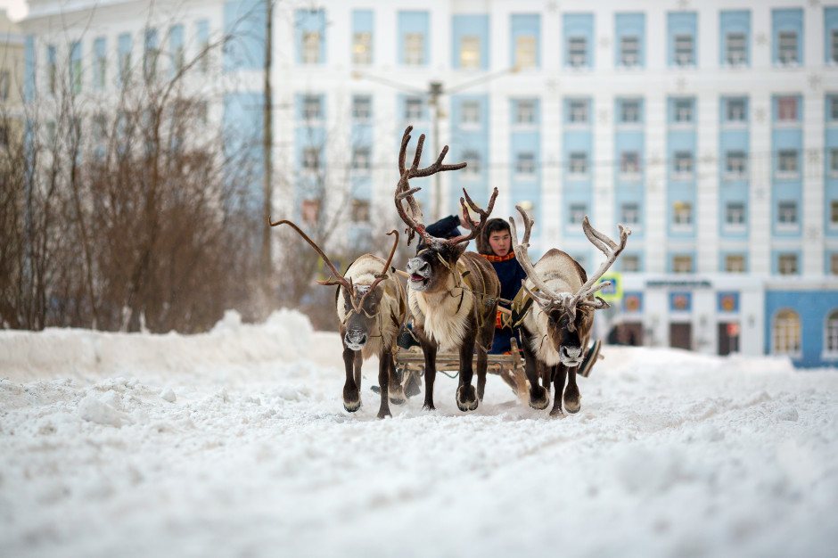 Norylsk w Rosji / Shutterstock