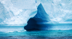 "Ukryty świat" morskich stworzeń pod lodowcem na Antarktydzie. Wyjątkowe odkrycie naukowców