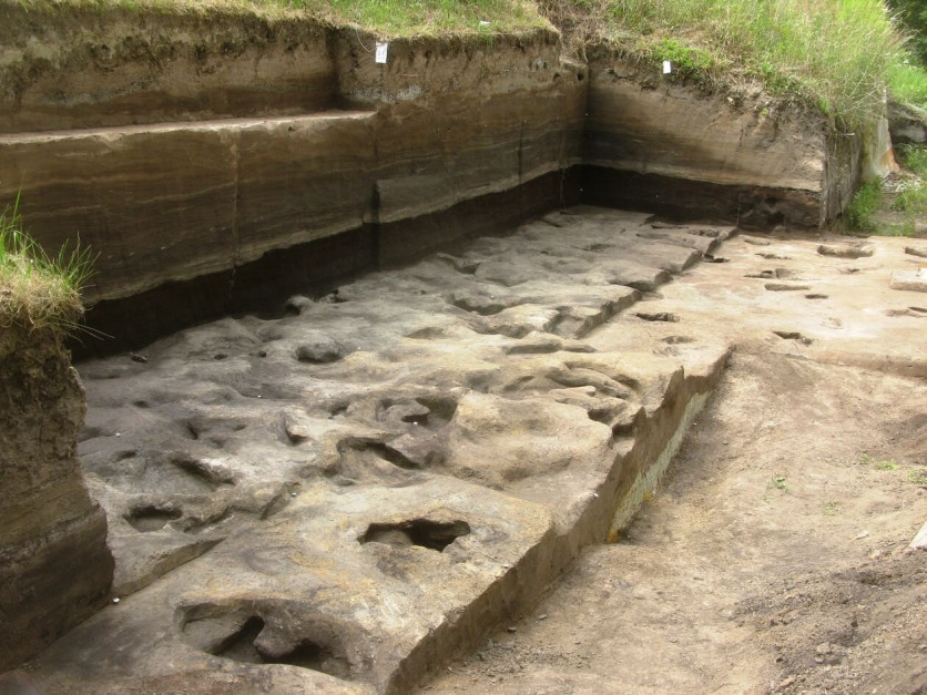 Najstarsze ślady człowieka odkryte w Dolnej Saksonii / materiały informacyjne Uniwersytetu w Tybindze