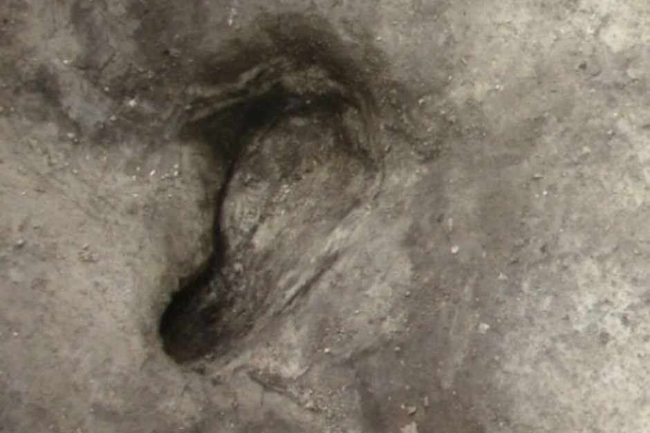 Najstarsze ślady człowieka odkryte w Dolnej Saksonii / materiały informacyjne Uniwersytetu w Tybindze