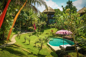 Dom na drzewie, Bali, Indonezja
