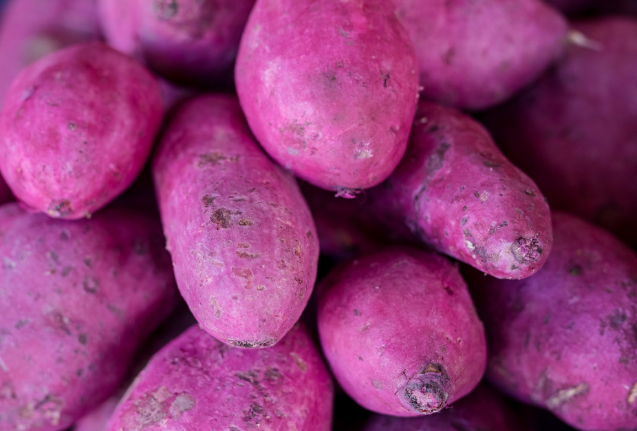 Ube - fioletowy ziemniak najmodniejszym warzywem na Instagramie / Shutterstock