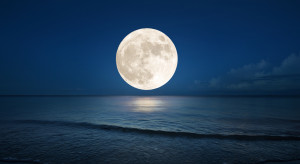 Dlaczego czasami Księżyc jest większy niż zazwyczaj? / Shutterstock
