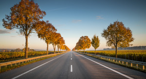 Na Węgrzech znajduje się muzyczna droga / fot. Unsplash