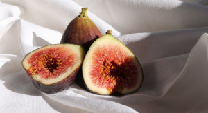 Co łączy figi, martwe osy i Ewę z raju? Oto wszystko, co warto wiedzieć o najpyszniejszych owocach Włoch i Chorwacji