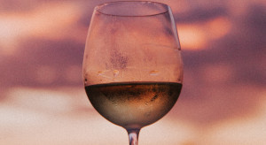 Dodawanie wody do wina w trakcie produkcji jest zakazane przez Unię Europejską / Unsplash