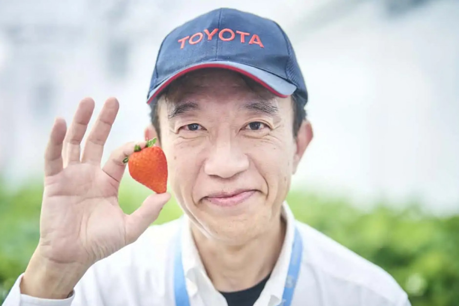 Toyota hoduje truskawki i pomidory w swoich fabrykach / Toyota Times