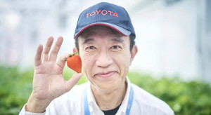 Toyota uprawia truskawki i pomidory w swoich fabrykach, i to nie jest wcale żart