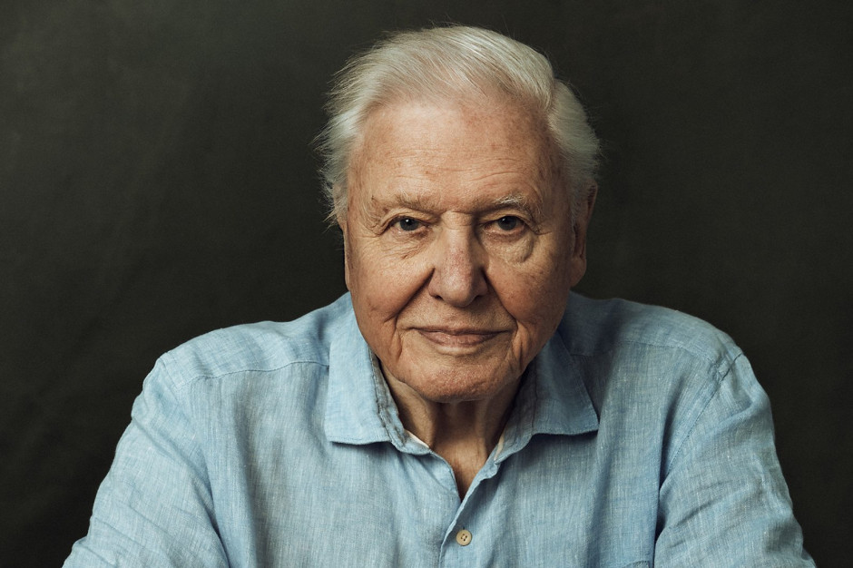 David Attenborough powróci w serialu dokumentalnym "Planet Earth III". Wszyscy kochamy ten głos! / BBC