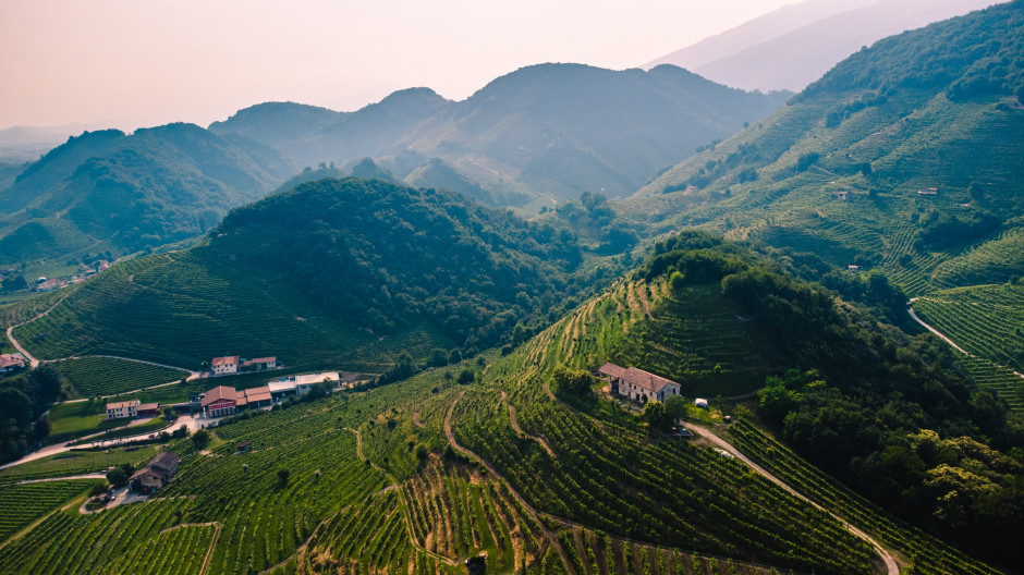 Zmiany klimatyczne mogą sprawić, że Prosecco przestanie istnieć / Unsplash