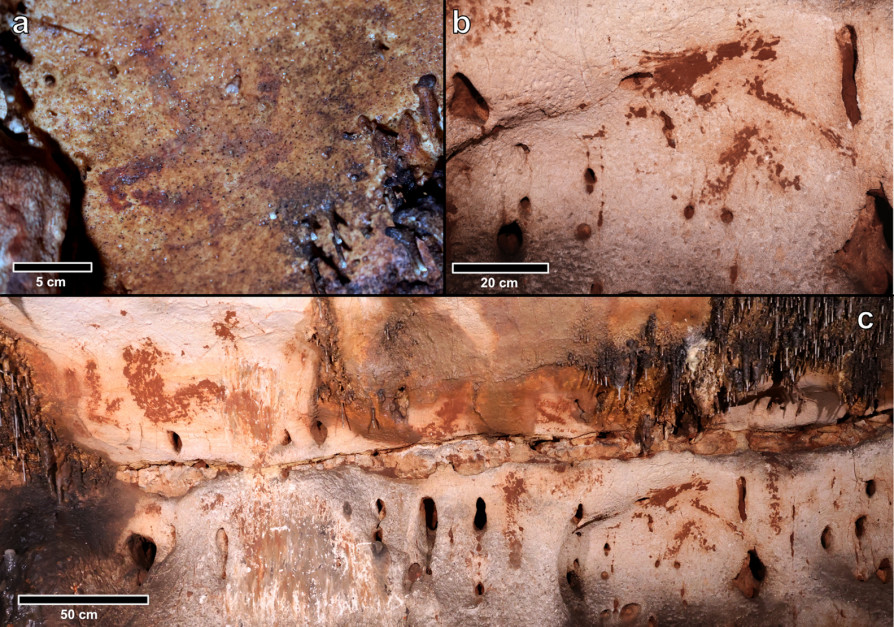 Paleolityczne malunki w jaskini Cova Dones w Hiszpanii / Cambridge University Press