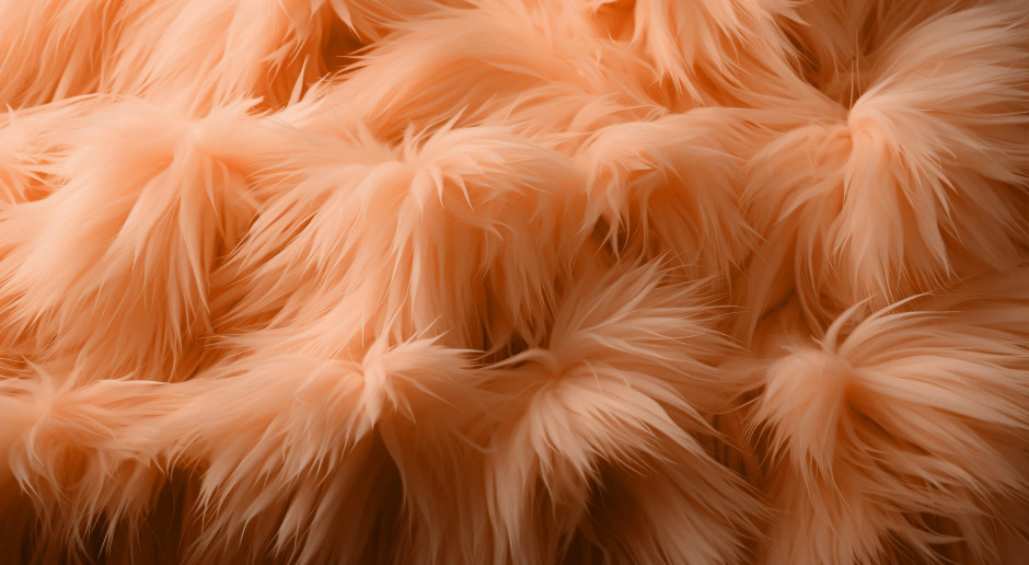 Znamy kolor roku 2024! Pantone wybrał odcień inspirowany