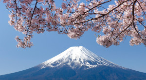 JAPONIA: Kiedy odwiedzić Kraj Kwitnącej Wiśni? Szczegółowa prognoza kwitnienia sakur 2024/ Shutterstock